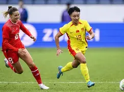 关于加拿大女足赛场传来惊心动魄一幕！的信息
